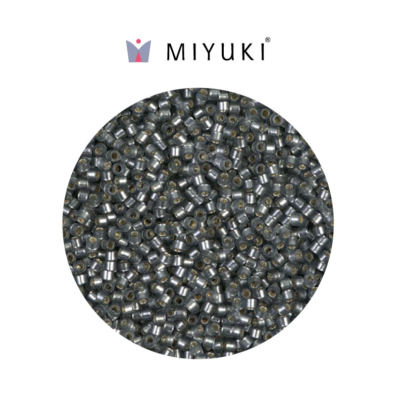 Miyuki delica 11/0 DB0697 matte silver lyned x 50g