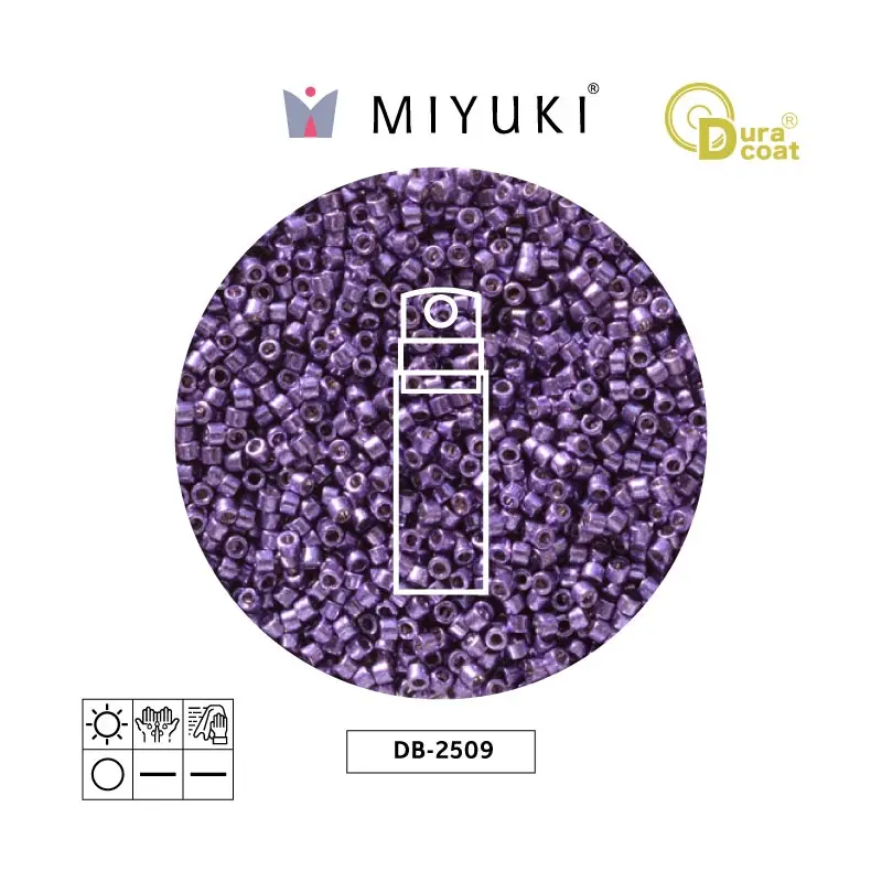 Miyuki delica 11/0 DB2509 duracoat galvanized dark lilac x 10g