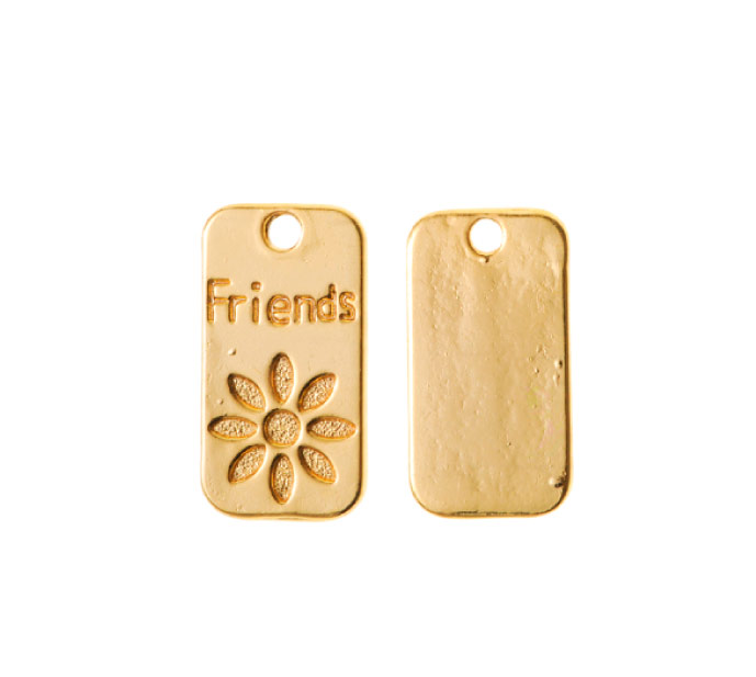 Dije friends 23x12mm AAJ-04485/golfi x und