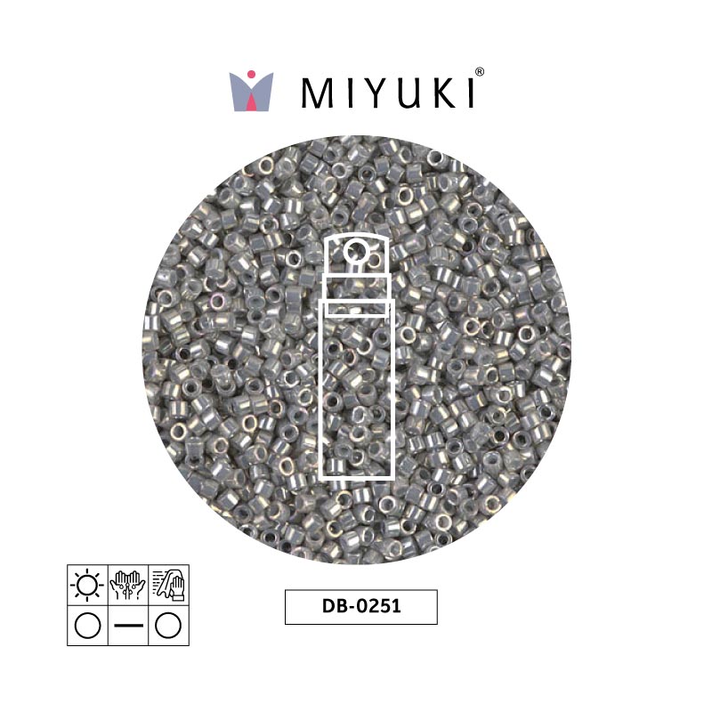 Miyuki delica 11/0 DB0251 metallic grey luster x 10gr