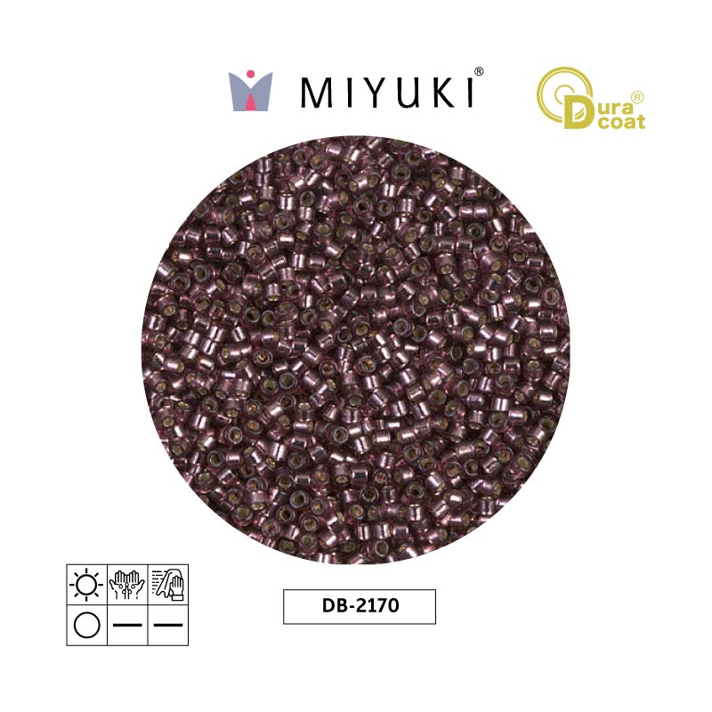 Miyuki delica 11/0 DB2170 silver lined raisin duracoat x 50gr