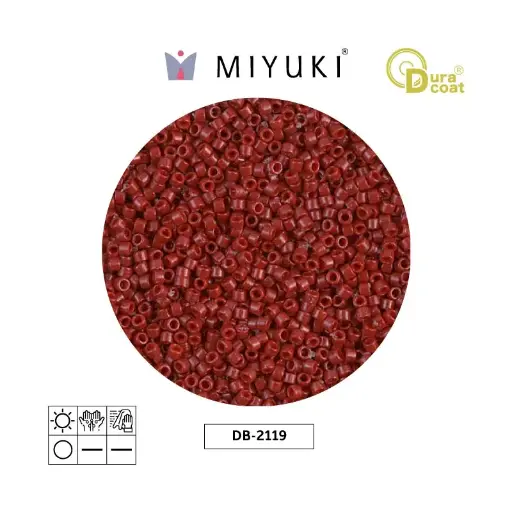 [01343] Miyuki delica 11/0 DB2119 opaque jujube x 50g